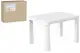 Стіл дитячий 0402 білий ТЕХНОК купити недорого в Україні, фото 55545