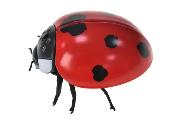 Жук "Сонечко" на радіокеруванні в коробці 9922 р.23,5*16,7*5,3см купити недорого в Україні, фото 5