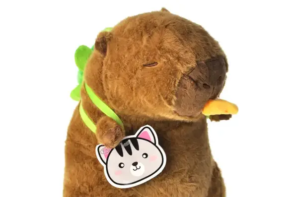 Капібара з черепашкою м'яка 30см. купити недорого в Україні, фото 2