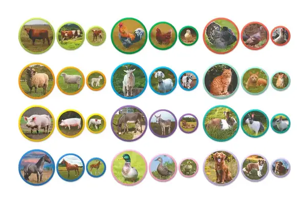 Магнітний набір 200271 Монтесорі "Родини тварин: Ферма" DoDo купити недорого в Україні, фото 5