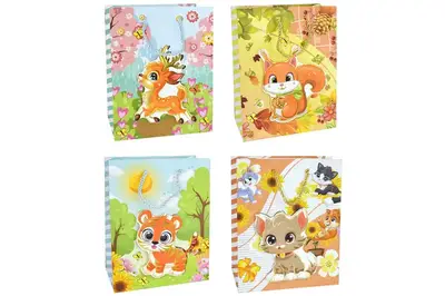 Подарунковий паперовий пакет 6611L купити