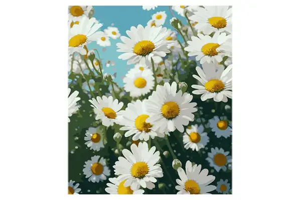 Набір для розпису по номерах Ромашки на полі під небом на кольоровому фоні розміром 40х50 см (MZ025) Strateg купити