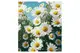 Набір для розпису по номерах Ромашки на полі під небом на кольоровому фоні розміром 40х50 см (MZ025) Strateg купити недорого в Україні, фото 56546