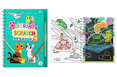 Набір для творчості 300490 "Домашні тварини" 2в1 розмальовки та гравюри DoDo купити