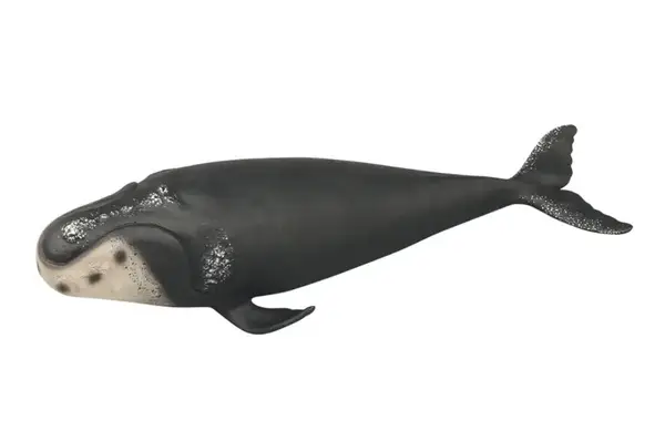 Морські тварини Q9899-581 гум.4в.кор.35*13*5,5 купити недорого в Україні, фото 4