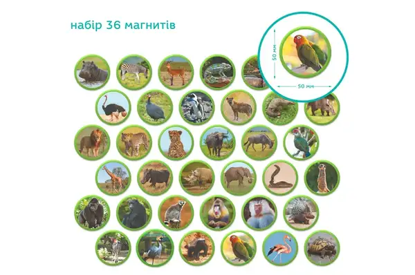 Магнітний набір 200284 "Монтесорі. Тварини на континентах: Африка" DoDo купити недорого в Україні, фото 5