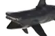 Набір морських тварин 2004B в кульку р.32x21x3см YG Toys купити
