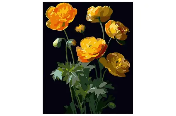 Набір для розпису по номерах Жовті квітки на чорному фоні розміром 40х50 см (AH1003) Strateg купити