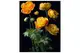Набір для розпису по номерах Жовті квітки на чорному фоні розміром 40х50 см (AH1003) Strateg купити недорого в Україні, фото 56523