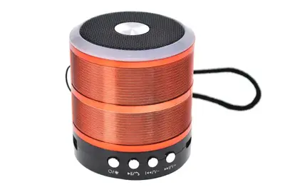 Міні-колонка портативна WS-887D на акумуляторі, підтримка Blootooth, FM, карти пам'яті купити