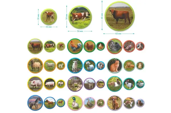 Магнітний набір 200271 Монтесорі "Родини тварин: Ферма" DoDo купити недорого в Україні, фото 2