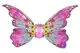 Крила D2403-1B на батарейках, в коробці р.36x25x9 см YG Toys купити