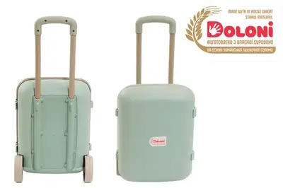Валіза дитяча 01520/01eco Eco Green DOLONI купити