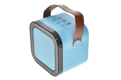 Караоке K12 з ДВОМА мікрофонами, блутуз колонка на акумуляторі, роз'єм для карти пам'яті, AUX, USB Type C, в коробці купити