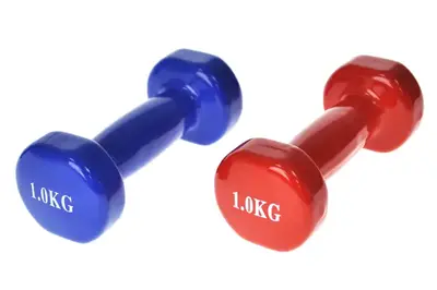 Гантелі FT0862 вінілове покриття 1 кг купити