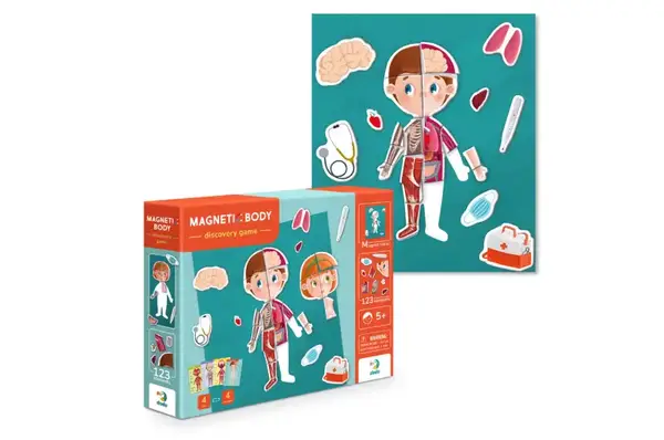 Розвиваюча гра 200220 "Магнітне тіло" DoDo купити недорого в Україні, фото 2