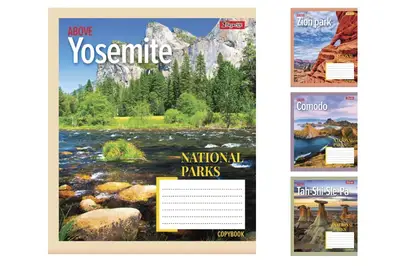 Зошит 96 аркушів лінійка в асортименті YES/1 Вересня купити