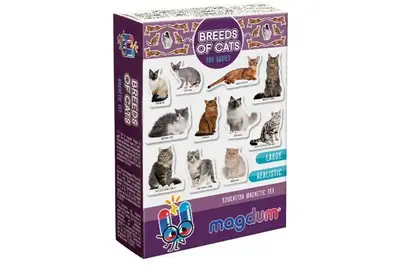 Набір магнітів ML4031-13 EN, Породи котів купити