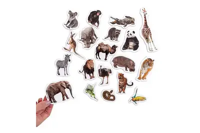 Набір магнитів "Зоо Фото" ML4031-02 EN купити