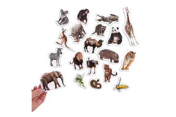 Набір магнитів "Зоо Фото" ML4031-02 EN купити недорого в Україні, фото 2