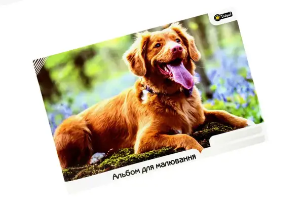 Альбом для малювання Добрий, скоба 40 арк, 00-00019316 купити недорого в Україні, фото 2