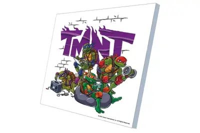 Набір для розпису по номерах 30х30 см QB913-018 "Черепашки Ніндзя: Завжди готові" qbee купити