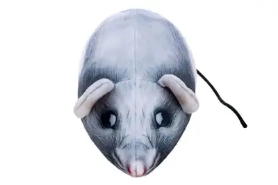 Подарункова іграшка KRUS0_SU "Криса Лора" р.9х8х20см DGT-PLUSH купити