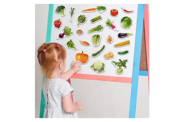 Набір магнітів (агнг.)"Овочі" ML4031-12 EN купити недорого в Україні, фото 4