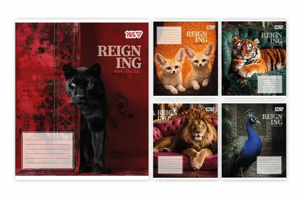 Зошит 24 Клітинка 769092 "Reign ing" Yes/1Вересня купити