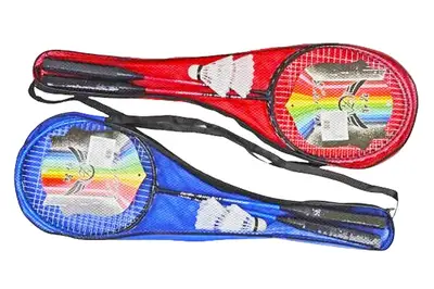 Бадмінтон BT-BPS-0080 №617 2 ракетки в сумці 2 кольори купити