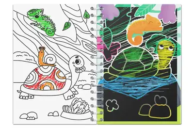 Набір для творчості 300490 "Домашні тварини" 2в1 розмальовки та гравюри DoDo купити