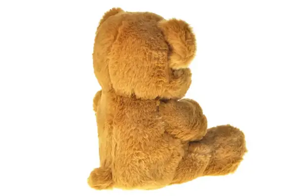 Інтерактивний Ведмедик-казкар PZ-10UA "Тимко" 10 казок українською мовою, коробка р.30,5x17x31 см купити недорого в Україні, фото 7