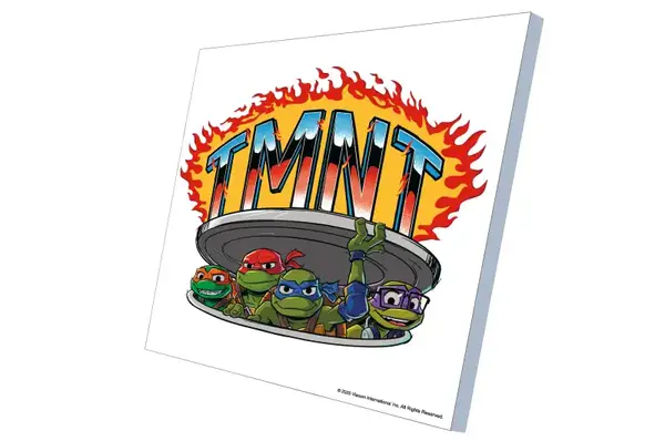 Набір для розпису по номерах 30х30 см QB913-017 "Черепашки Ніндзя: Час черепашок!" qbee купити недорого в Україні, фото 3