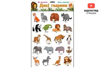 Магніти "Дикі тварини" 1236 ARTOS купити