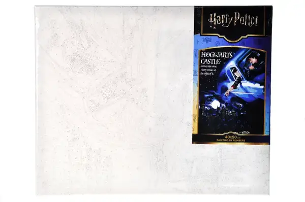 Набір для розпису по номерах KHO8719 WB "Harry Potter: Політ на авто з фарбами металік" 40х50см IDEYKA купити