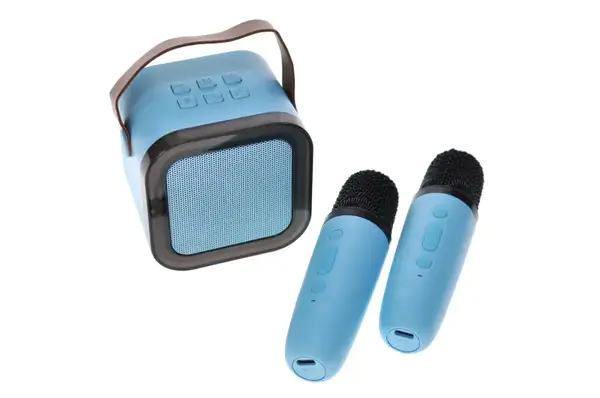 Караоке K12 з ДВОМА мікрофонами, блутуз колонка на акумуляторі, роз'єм для карти пам'яті, AUX, USB Type C, в коробці купити недорого в Україні, фото 5