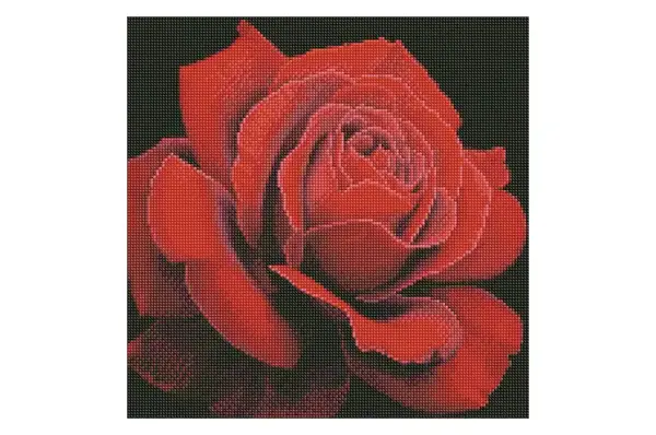 Набір з алмазною мозаїкою "Червона троянда" AMO7634 40х40см IDEYKA купити