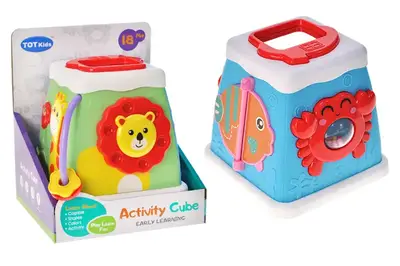 Бізікуб 3013 5в1, в коробці р.13,5x13,5x13 см Бізікуб 3013 5в1, в коробці р.13,5x13,5x13 см купити