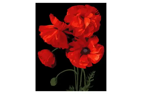 Набір для розпису по номерах Яскраві червоні маки на чорному фоні розміром 40х50 см (AH1016) Strateg купити