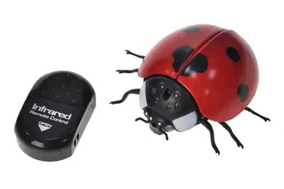 Жук "Сонечко" на радіокеруванні в коробці 9922 р.23,5*16,7*5,3см купити