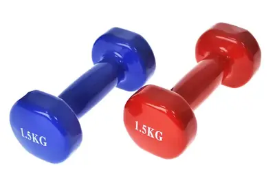 Гантелі FT0863 вінілове покриття 1,5 кг купити