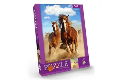 Пазли - 2000 елм. - C2000-01-01,02,03,04...10 серія 1 DANKO купити