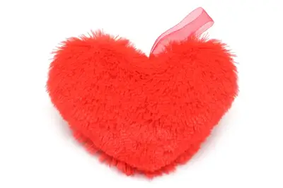 Серце №1 В071/1 18*22*7 купити