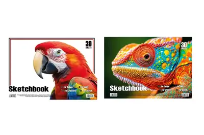 Альбом для малювання 30 аркушів KT13022501/502/503/504, пружина мікс купити