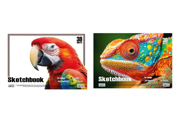 Альбом для малювання 30 аркушів KT13022501/502/503/504, пружина мікс купити