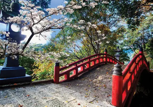 Пазли - 1500 елм. - С1500-03-01,02,03...10 серія 3 DANKO купити недорого в Україні, фото 9