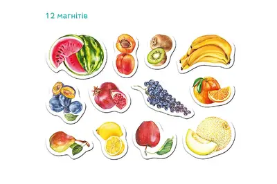 Набір магнітів 201214 Монтессорі «Фрукти» DoDo купити