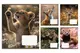 Зошит 24 Клітинка 769146 "Wildlife is beautiful" 1Вересня купити недорого в Україні, фото 67472