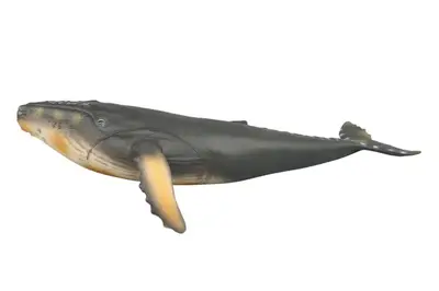 Морські тварини Q9899-581 гум.4в.кор.35*13*5,5 купити