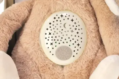 М'яка іграшка з проектором "Зайчик / Собака" в коробці 033-34 купити